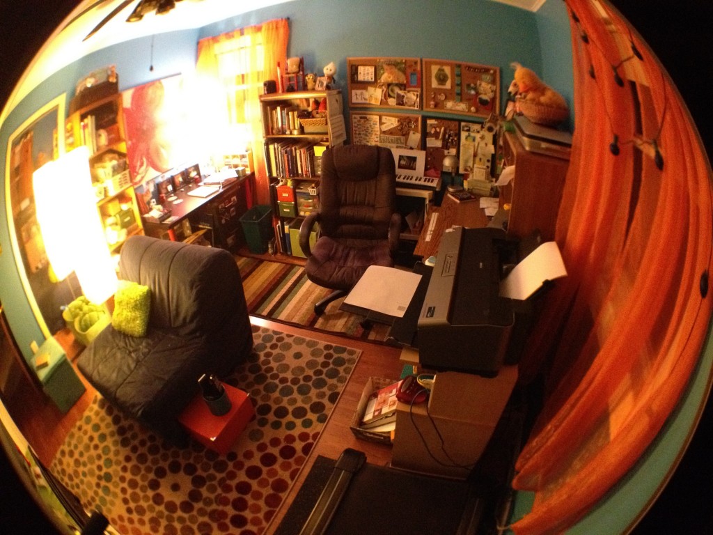 room remodel fish eye-012