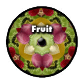Fruit